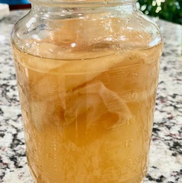 kombucha scoby in a mason jar